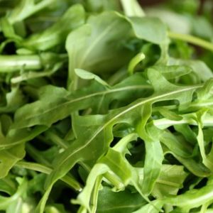 Arugula - Wild