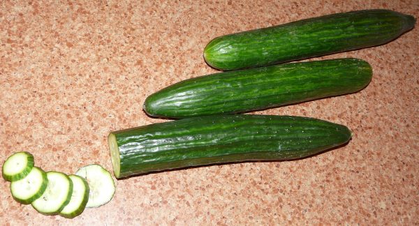 Cucumber - English Telegraph