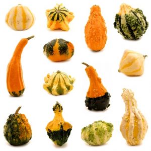 Gourd - Large and Small Mix