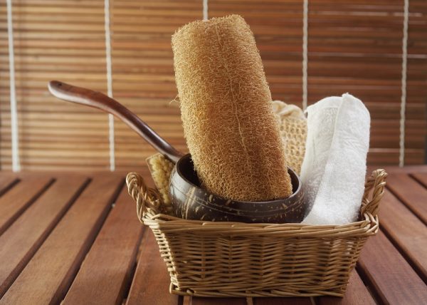 Gourd - Luffa