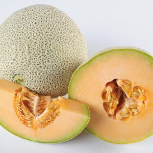 Melon - Hales Best Jumbo