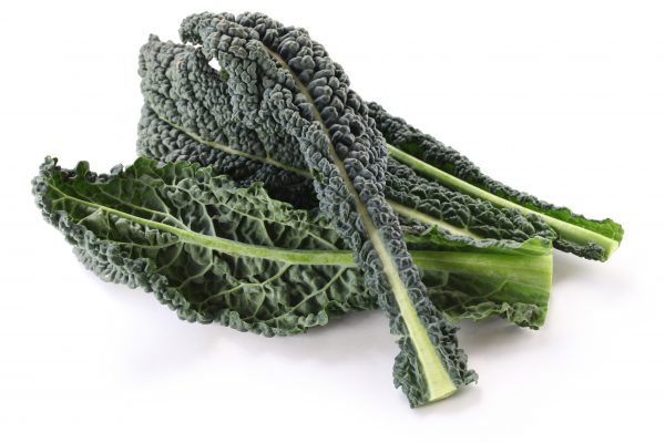 Kale - Dinosaur
