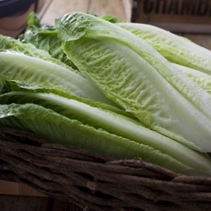 Lettuce - Parris Island Cos