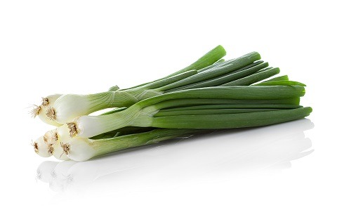 Onion - Evergreen Hardy White Bunching