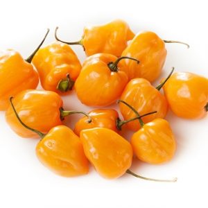 Pepper-Hot - Habanero Orange