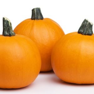 Pumpkin - Small Sugar