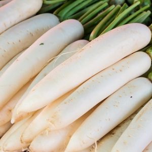 Radish - Japanese Minowase Diakon