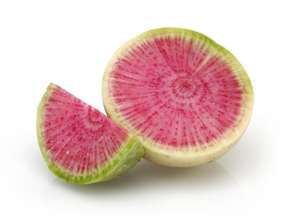 Radish - Watermelon