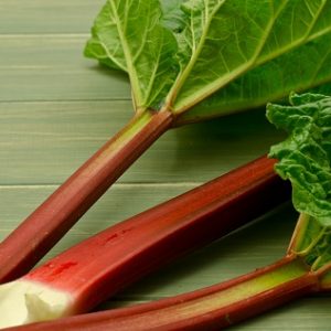 Rhubarb - Victoria