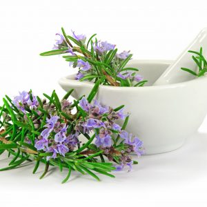 Rosemary