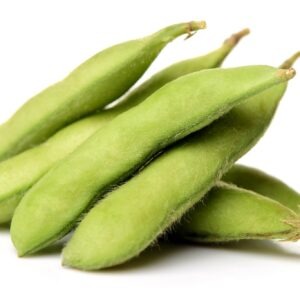 Bean - Edamame Soybean Midori Giant