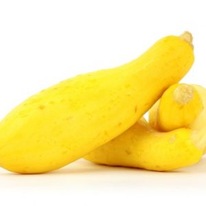 Squash, Summer - Early Prolific Straightneck