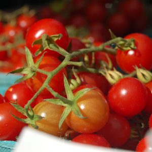 Tomato - Super Sweet 100 F1 Cherry