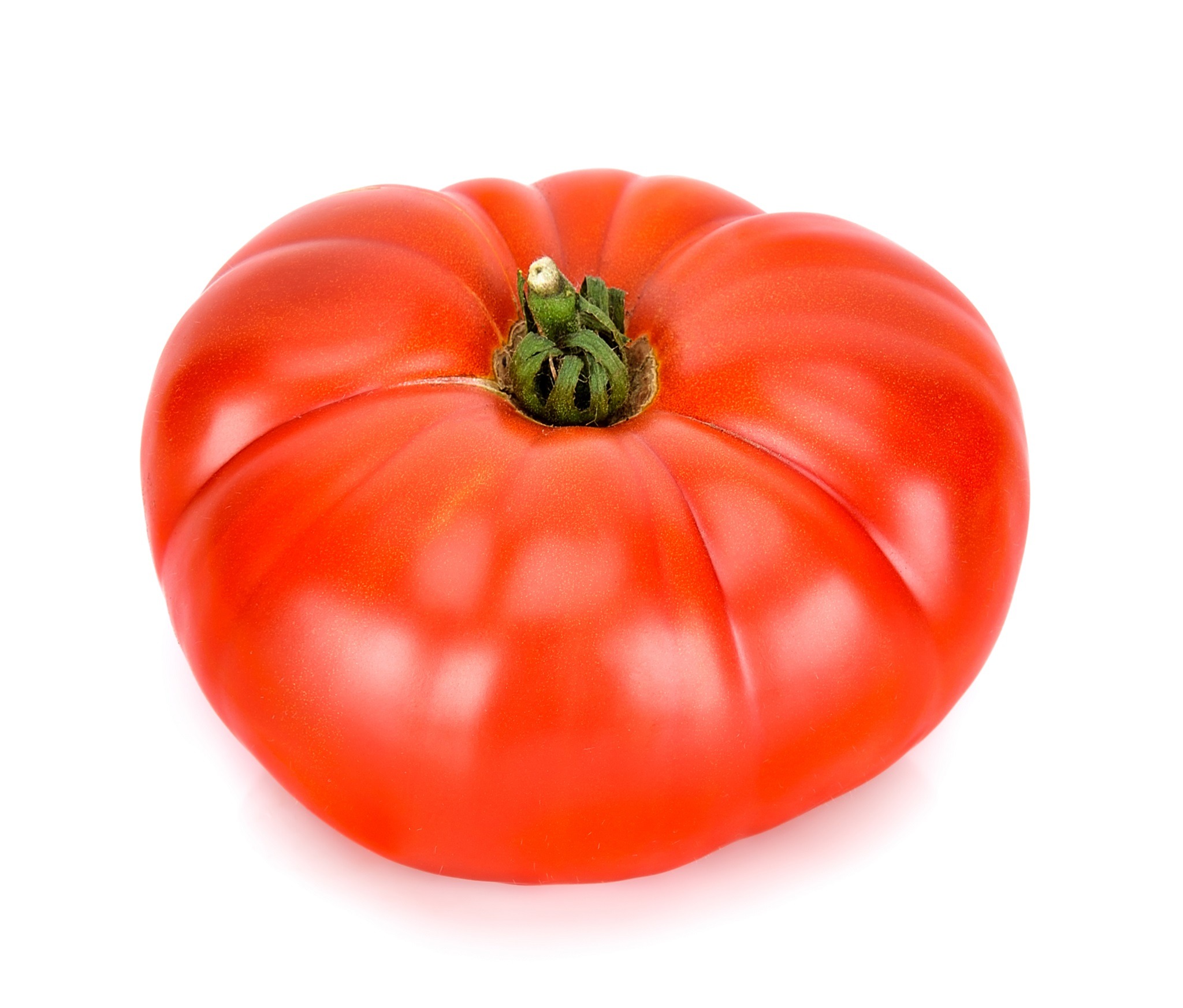 Tomato - Brandywine Red - Life Seed Company