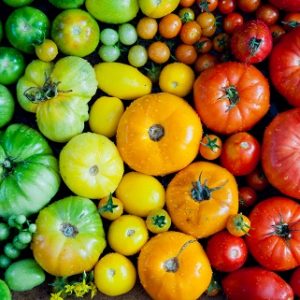 Tomato - Heirloom Blend