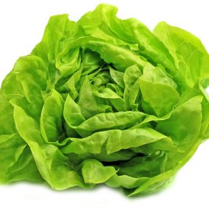 Lettuce - Buttercrunch