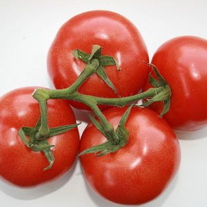 Tomato - Early Girl VFF Hybrid