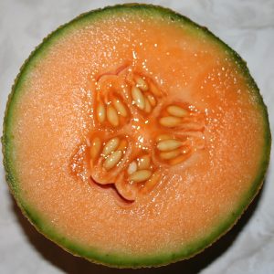 Melon - Minnesota Midget