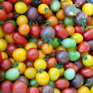 Tomato - Rainbow Cherry