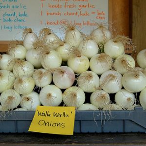 Onion - Walla Walla